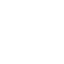 Apple icon